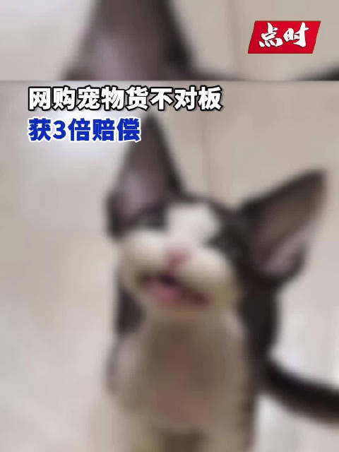 苹果手机货不对版二手手机货源批发网